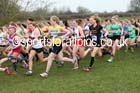 Senior womens Inter Counties Cross Country, Prestwold Hall, Loughborough. Photo: David T. Hewitson/Sports for All Pics
